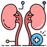 Nephrology