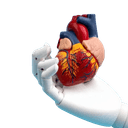 Robotic Cardiac