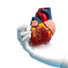 Robotic Cardiac