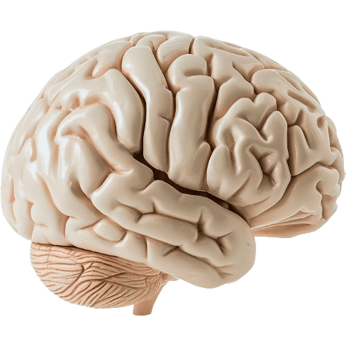 Chronic Cerebro Spinal Venous Insufficiency
