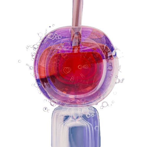 Transvaginal Oocyte Retrieval - TVOR